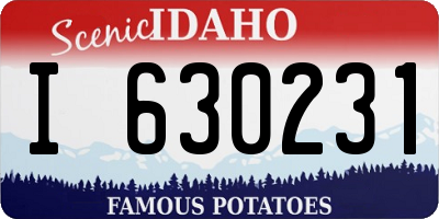 ID license plate I630231