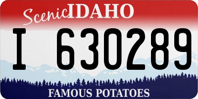 ID license plate I630289