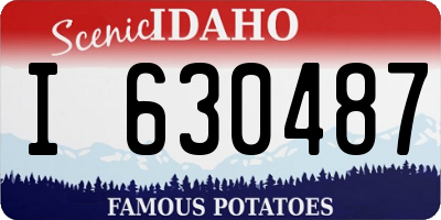ID license plate I630487