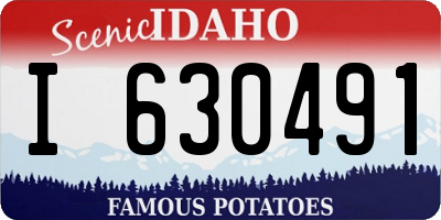 ID license plate I630491
