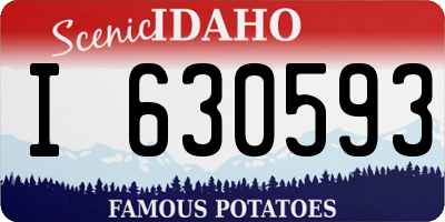 ID license plate I630593