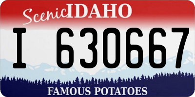 ID license plate I630667