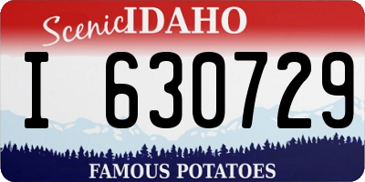 ID license plate I630729