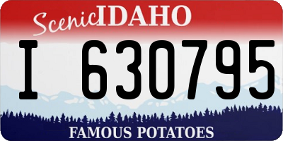 ID license plate I630795