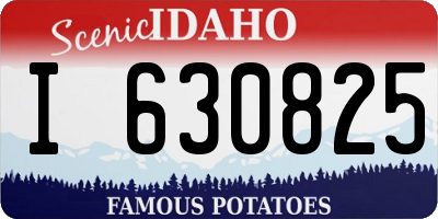 ID license plate I630825