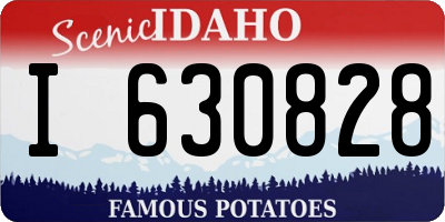 ID license plate I630828