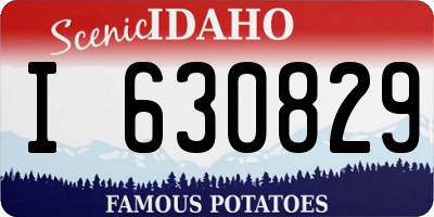 ID license plate I630829