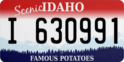 ID license plate I630991