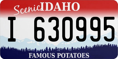 ID license plate I630995