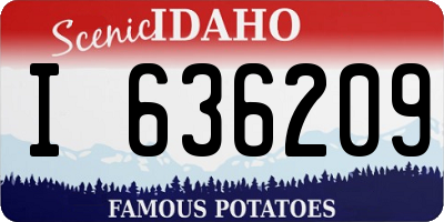 ID license plate I636209