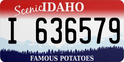 ID license plate I636579