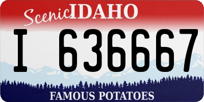 ID license plate I636667