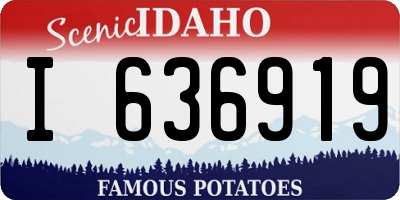 ID license plate I636919