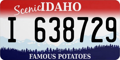 ID license plate I638729