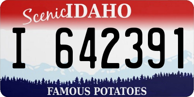 ID license plate I642391