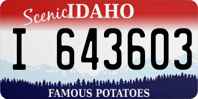 ID license plate I643603