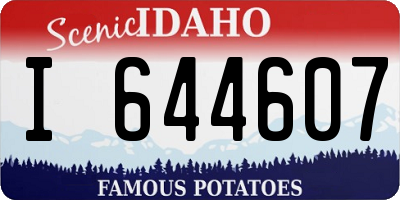 ID license plate I644607