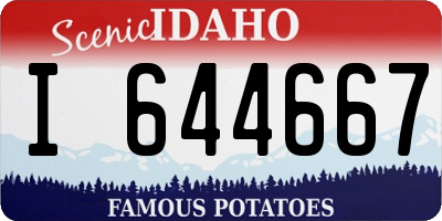 ID license plate I644667