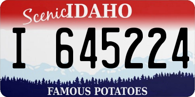 ID license plate I645224