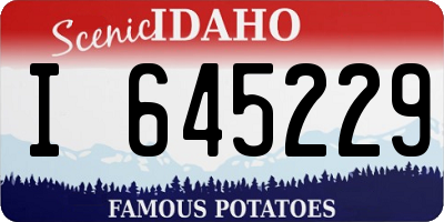ID license plate I645229