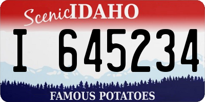 ID license plate I645234