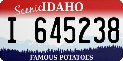 ID license plate I645238