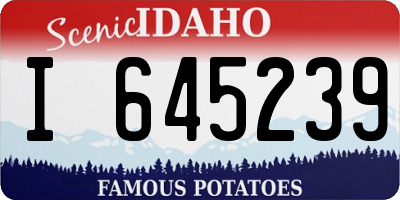 ID license plate I645239