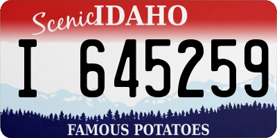 ID license plate I645259