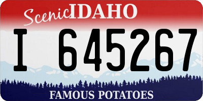 ID license plate I645267