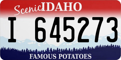 ID license plate I645273