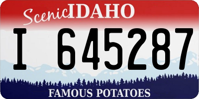 ID license plate I645287