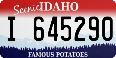 ID license plate I645290