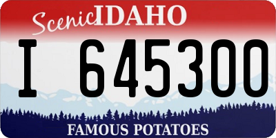 ID license plate I645300