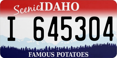ID license plate I645304