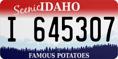 ID license plate I645307