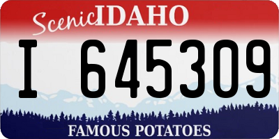 ID license plate I645309