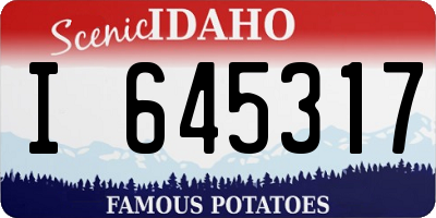 ID license plate I645317