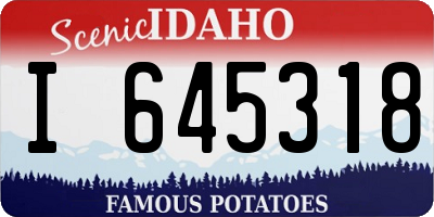 ID license plate I645318