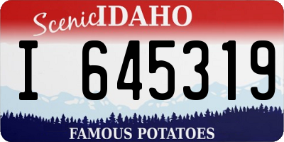 ID license plate I645319