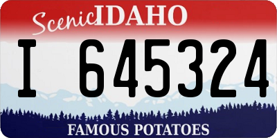 ID license plate I645324
