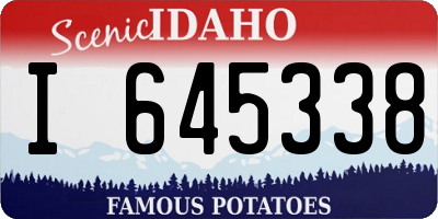 ID license plate I645338