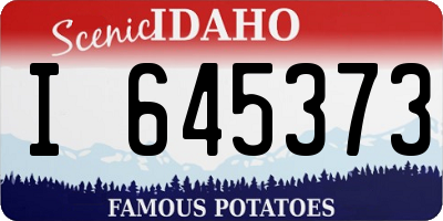 ID license plate I645373