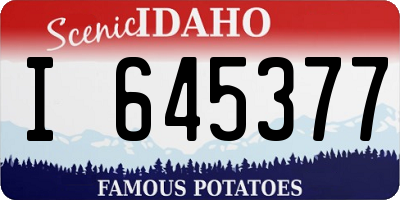 ID license plate I645377