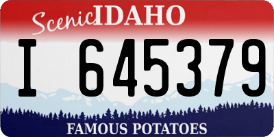 ID license plate I645379