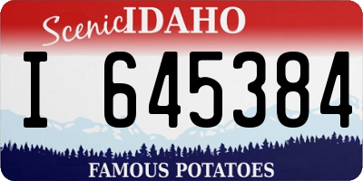 ID license plate I645384