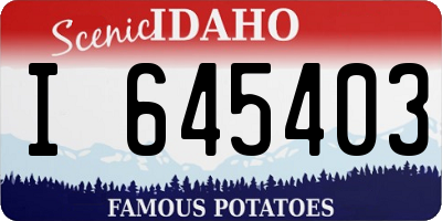 ID license plate I645403