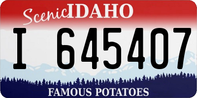 ID license plate I645407