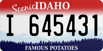 ID license plate I645431