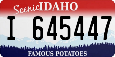 ID license plate I645447