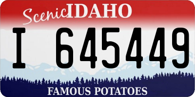ID license plate I645449